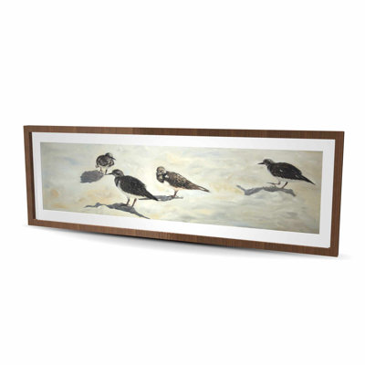 Sandpiper Birds