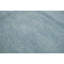 Area Rug in Light Blue