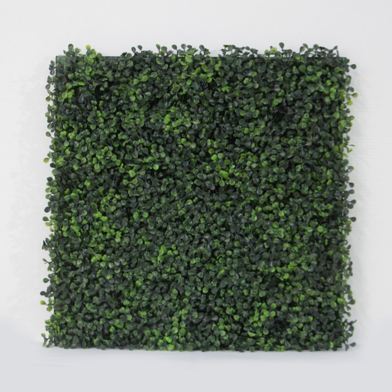 20'' Plant