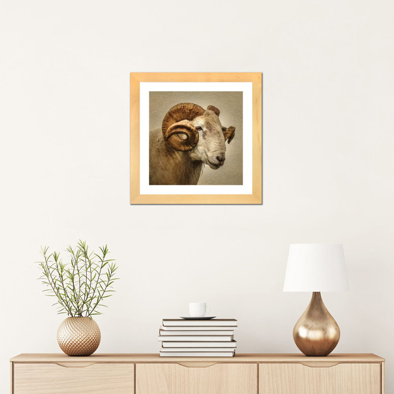 « RAM » par Mark Gemmell-impression d’art graphique, Papier bois naturel, H 16 po x l 16 po x P 1 po, Blanc