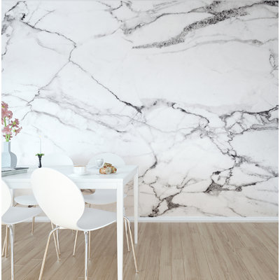 Abington Marble 9.8' L x 94" W Wall Mural
