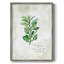Fresh Oregano Framed Print - Solid Wood-1604130980