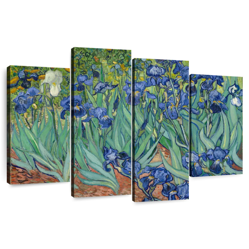 Harnek Irises 1889, H 22 po x l 36 po