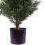120Cm Artificial Cypress Topiary in Pot