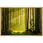 Nature, paysage, printemps, été, soleil, forêt verte, photographie sur toile-93629175-93629174