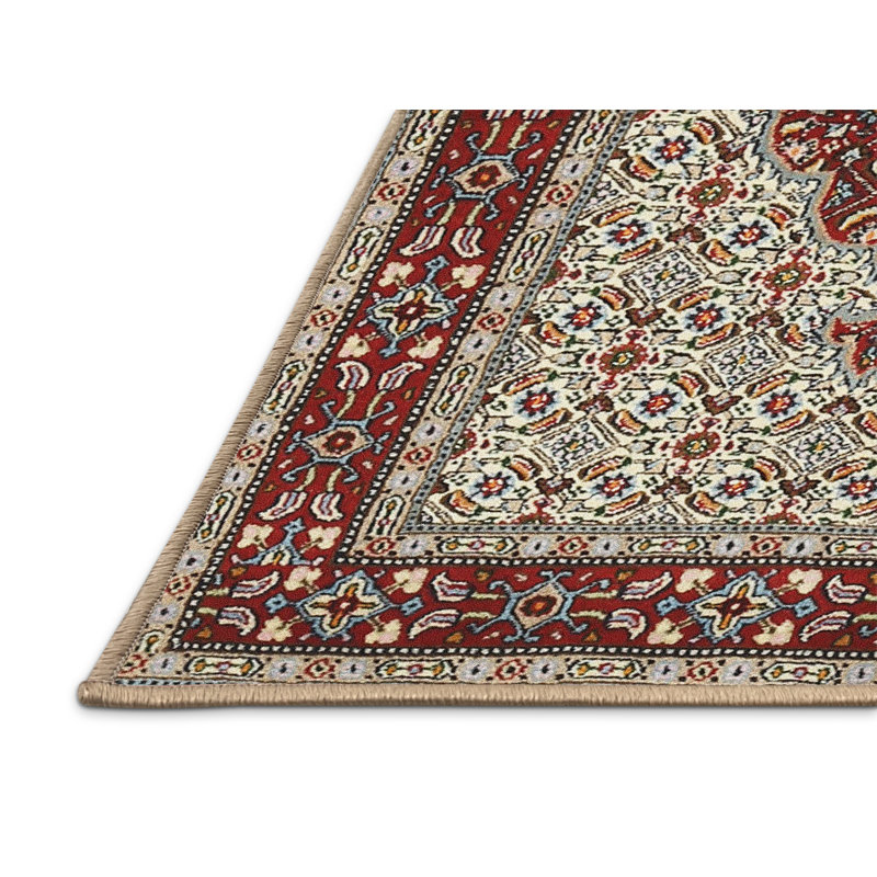 Cerellia Oriental Indoor Rug, Rectangle 2' x 5'