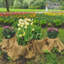 Rouleau de tissu de jardinage naturel