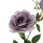 Silk Rose Arrangement-1250838354-1250838355