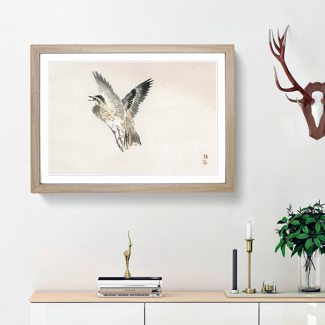 Sparrow Bird by Kono Baireir - Framed Print