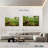 Roman Garden Snail-343532812