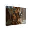 «Winter Pine Downy Woodpecker» par Etelca, impression sur toile tendue-27649506