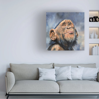 David Stribbling Chimp Looking Up Canvas Art