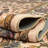 Artez Oriental Indoor Rug-1335383284