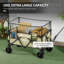 Garden Carts-97239889