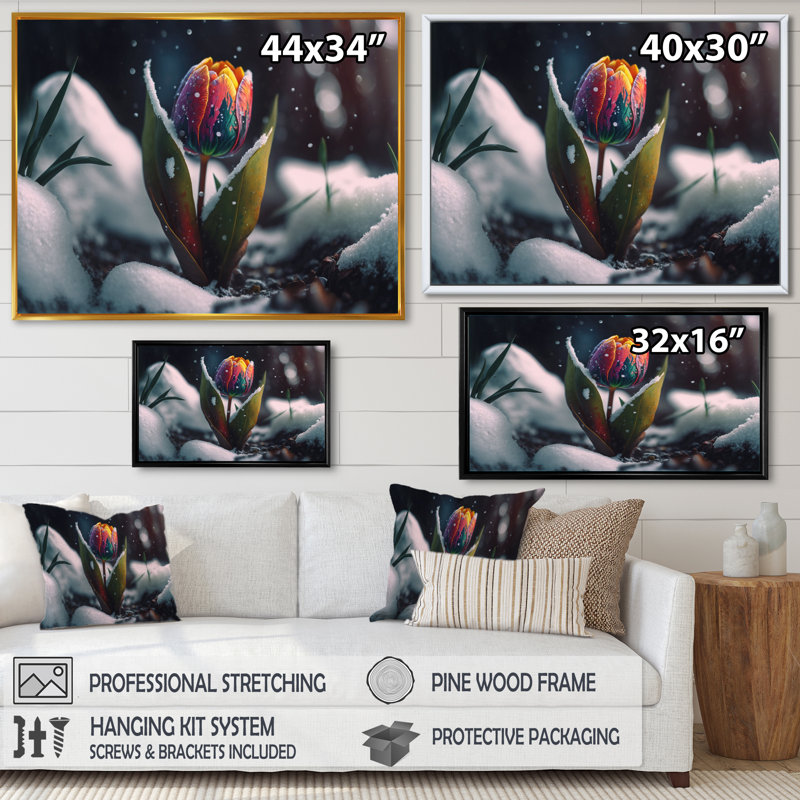 «A Blooming Multicolor Tulip Flower in Winter I», impression sur toile, H 30 po x l 40 po x P 1,5 po