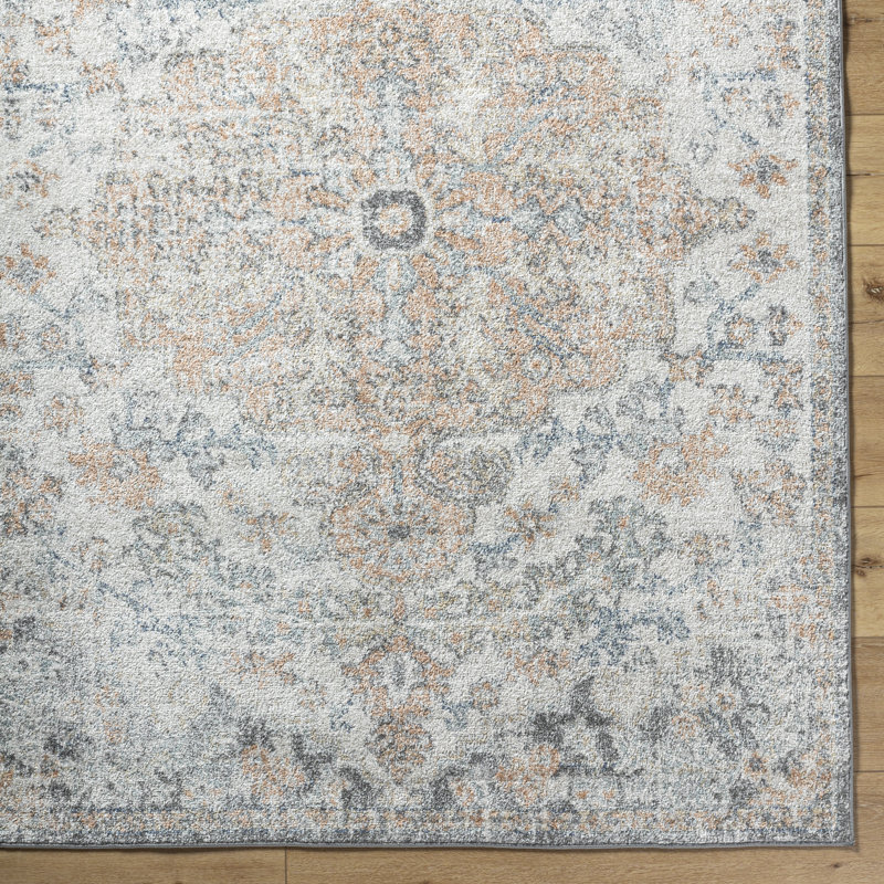 Reagyn Rectangle Oriental Washable Area Rug, Rectangle 60 x 90 cm