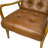 Morrilton Genuine Leather Tufted Arm Chair With Solid Wood Frame (Set of 2)-1744579226