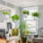Plant Hanger