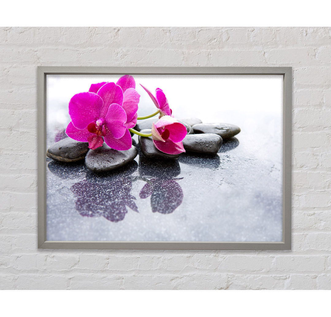 Pink Orchid On The Rocks - Einzelner Bilderrahmen Kunstdrucke auf Leinwand