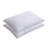Lavinia Down Blend Medium Pillow-32086654