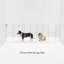 Hiddin Clear Tall Zig Zag Wall Mounted Pet Gate-68771401-111684865