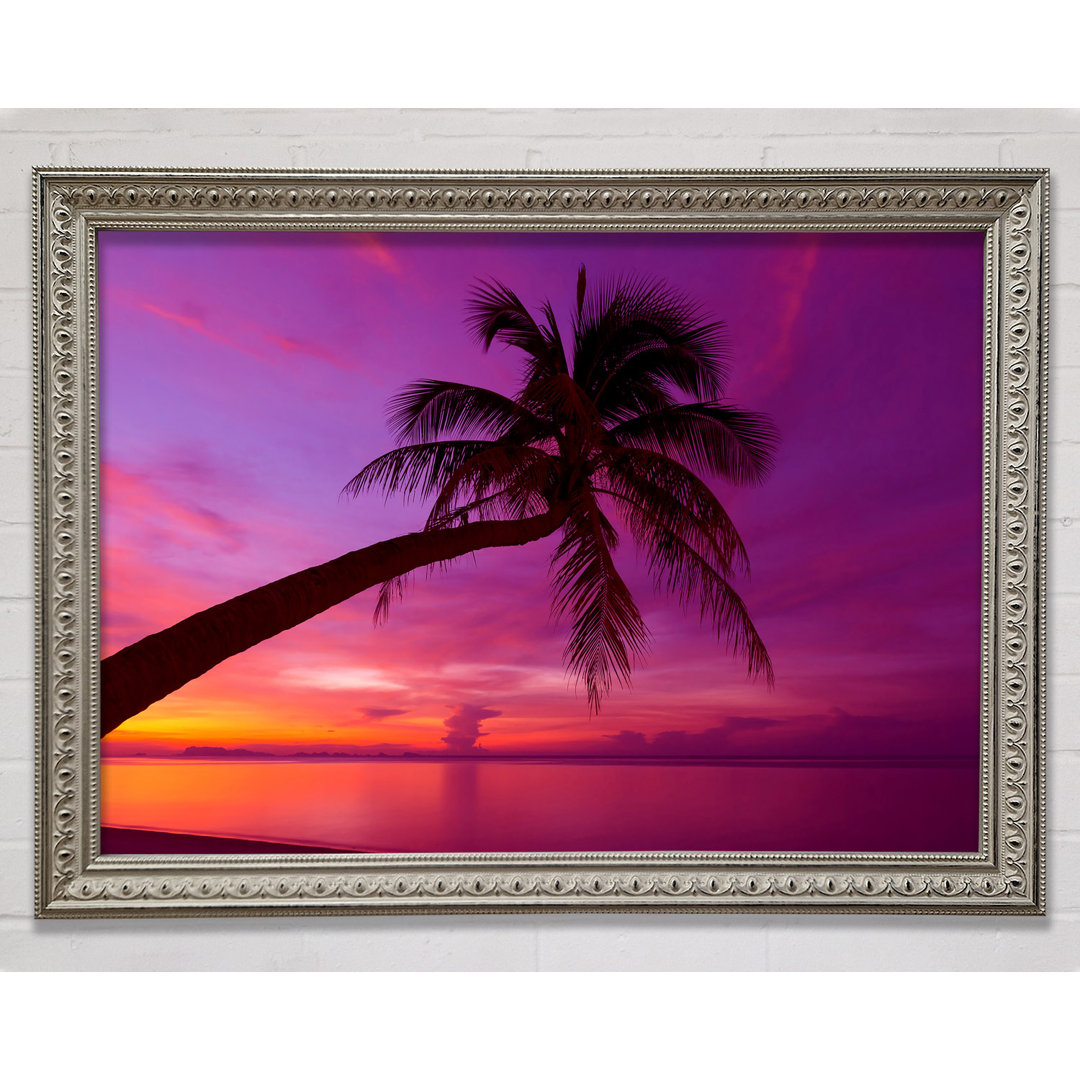 Gerahmtes Bild Palm Tree Skies