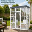 Cat House-1752836524