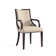 Elianys 18.5'' H Upholstered Beech Armchair