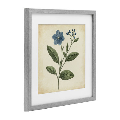 Vintage Blossoms Wildflower Framed Print Under Glass, design by Petal Prints Design