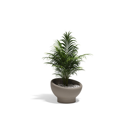 Luna Planter