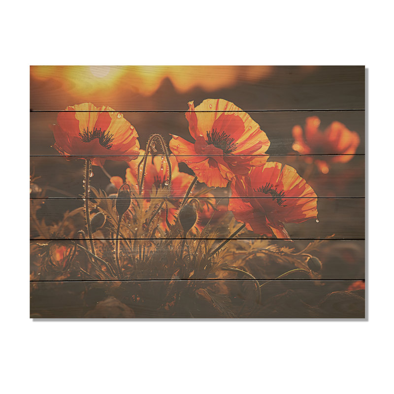 Coucher de soleil coquelicots dans la prairie - coquelicots, art sur bois de pin naturel, H 10 po x l 20 po