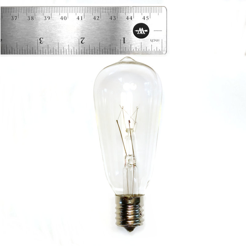 Edison String Lights Outdoor 50 - Bulb Plug-in String Light, Black
