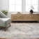 Oriental Indoor Rug