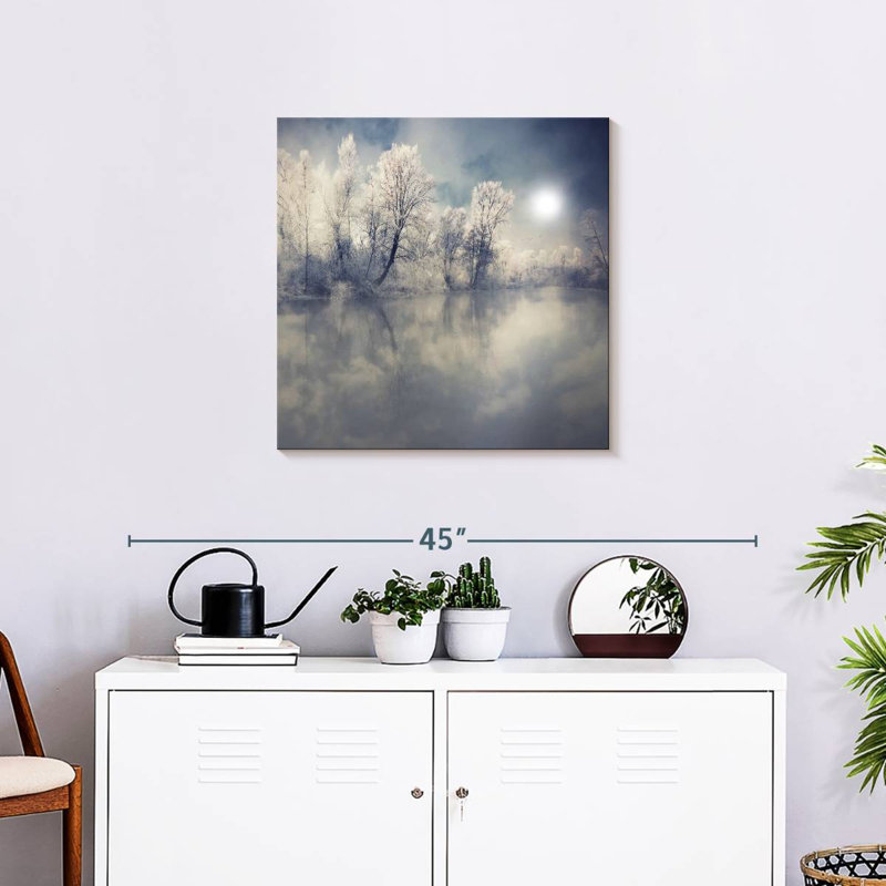 Alvord Misty Winter Forest, H 24 po x l 24 po