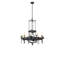 Ekamveer 8 - Light Chandelier