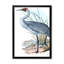 «Vintage Australian Birds V», impression sur toile encadrée-59761967-59761963