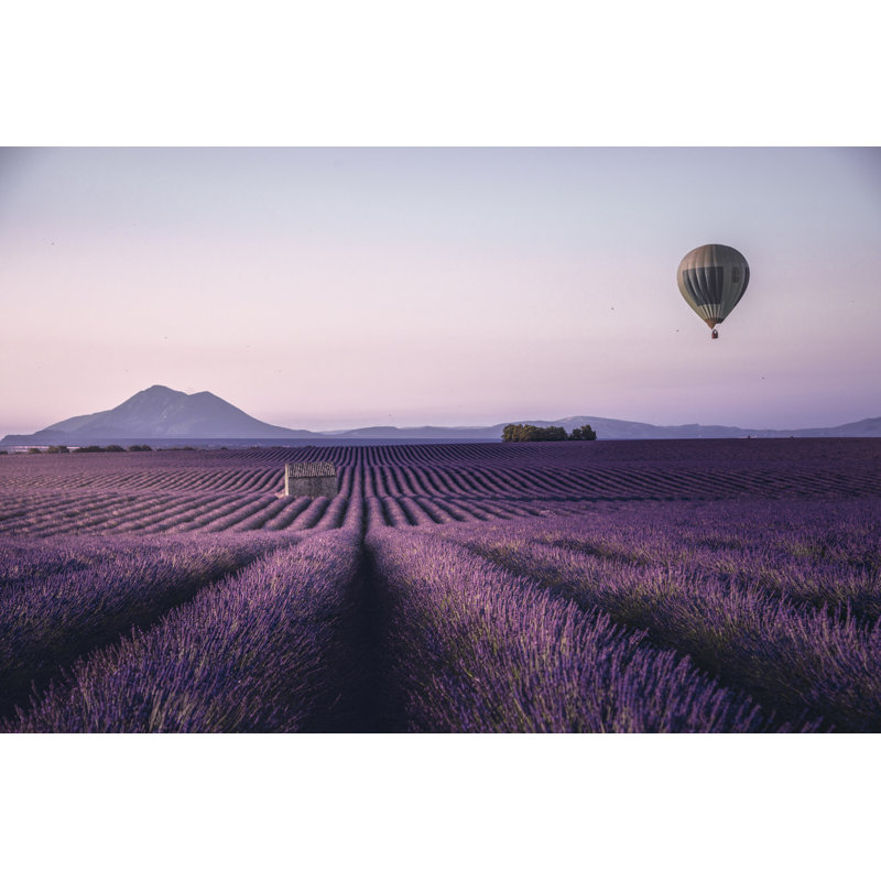 Endless Lavender Field - Wrapped Canvas Print, 51cm H x 76cm W x 3.8cm D