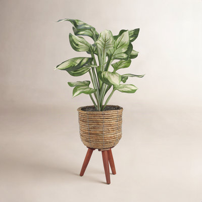 28'' Faux Hosta Plant in Basket