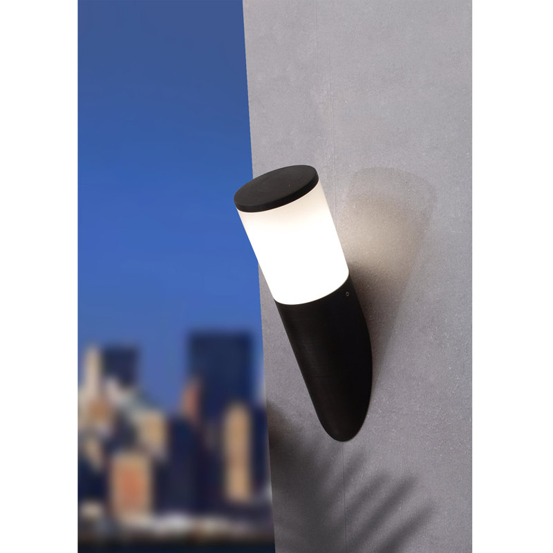 Bauerle Outdoor Flush Mount, Black