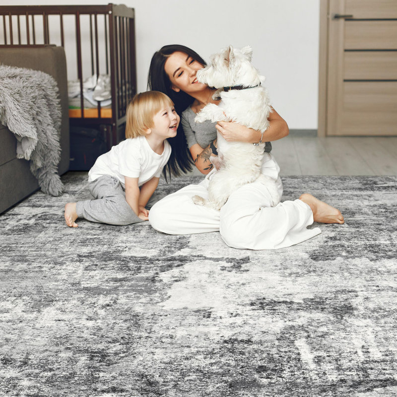 Dagmar Washable Boho Large Neutral Vintage Soft Rug Stain Resistant Distressed Farmhouse Non-Slip Indoor Floor Carpet for Bedroom Nursery Kids Office Dining Room