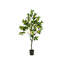 48 en faux citronnier en pot plante d'intérieur / extérieur
