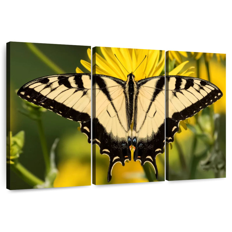 Brampt Perched Swallowtail Butterfly, 32" H x 50" W