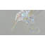 3.74'' Solid Colour Animals Holiday Shaped Ornament