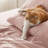 Bedsure Polyester Microfiber Sheet Set Hotel Luxury Sheets, Easy Care Cooling Bed Sheet Set 84GSM(101" x 107")GentleSoft™️-105311060-105311062