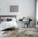 Trisco Abstract Area Rug in Gray