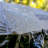 Tent-98431985-98431988
