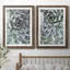 Zen Succulent III - ensemble de 2 reproductions de photos encadrées-998432676-998364407-998432600
