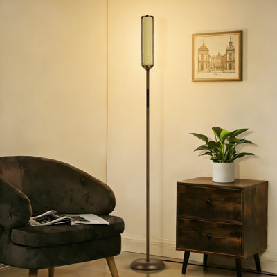66.14" RGBCW Metal Wire Floor Lamp Smart Lamp With Touch Switch And Remote Control