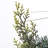 Pre Lit Led Snowy Mixed Pine Wreath With Pinecones