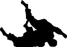Martial Arts Non-Wall Damaging Wall Decal, 34" H x 48" W